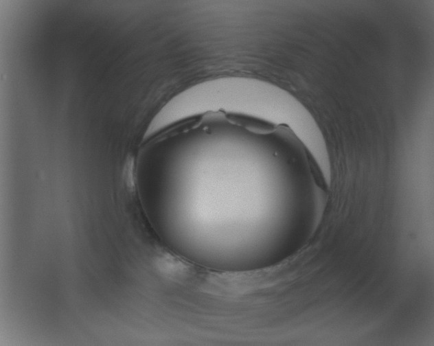 X0000067530041200604211855