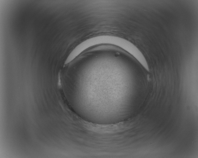 X0000067530042200604211855