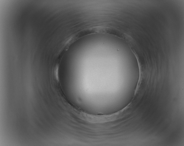 X0000067530047200604211855