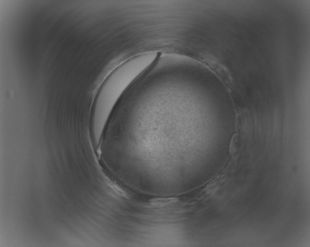 X0000067530051200604211854
