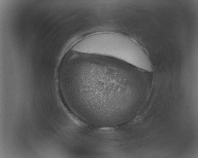 X0000067530053200604211854