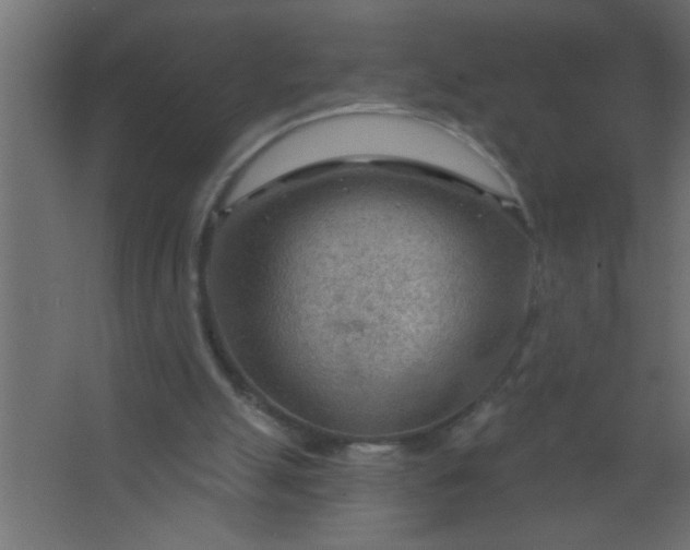 X0000067530055200604211854