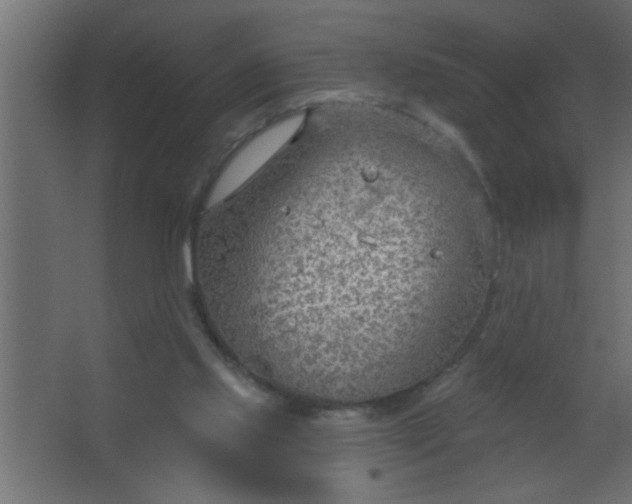 X0000067530061200604211854