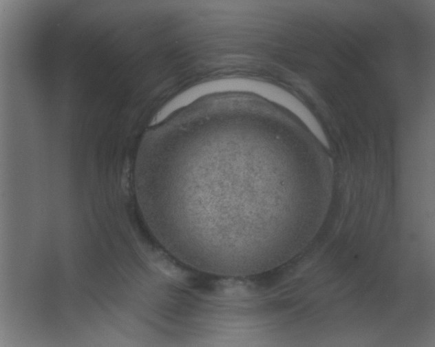 X0000067530073200604211854