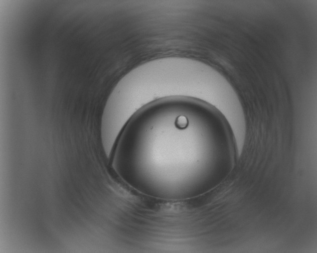 X0000067530077200604211854