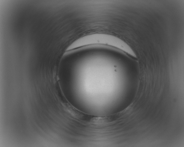 X0000067530082200604211854