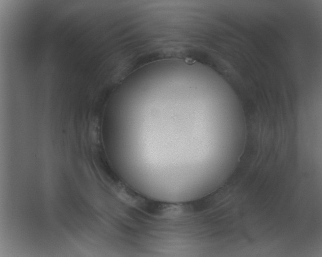 X0000067530083200604211854