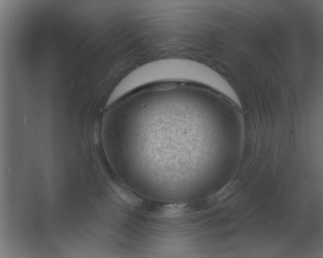 X0000067530090200604211855