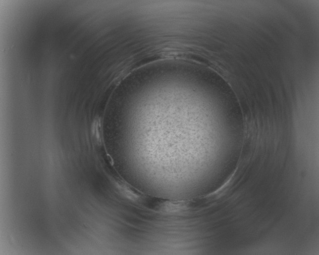 X0000067530094200604211855