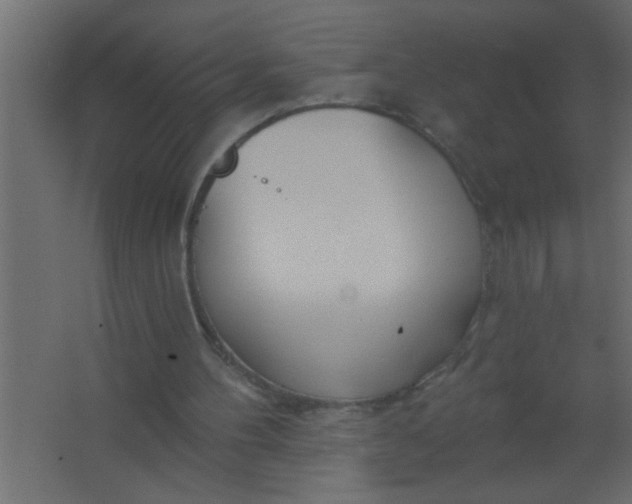 X0000067530100200604211854