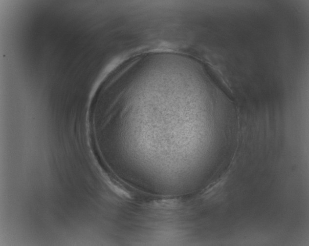 X0000067530102200604211854