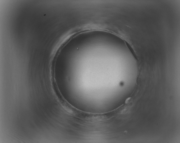 X0000067530103200604211854