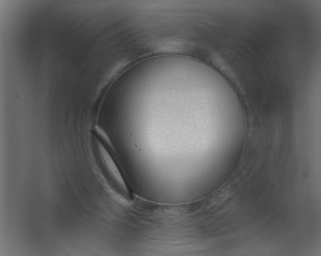 X0000067530106200604211854