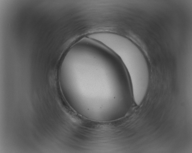 X0000067530107200604211854