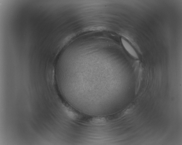 X0000067530110200604211854