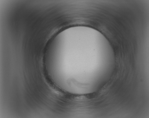 X0000067530112200604211854