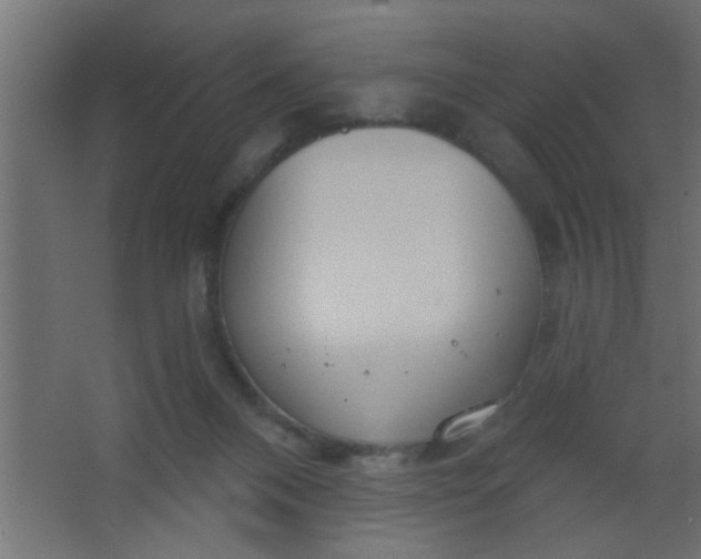 X0000067530120200604211853