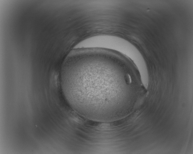 X0000067530123200604211853