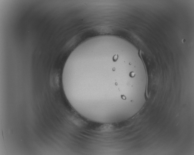 X0000067530124200604211853