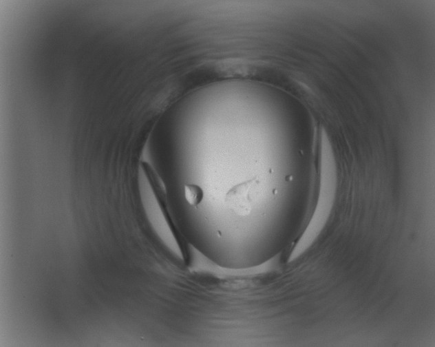 X0000067530125200604211853