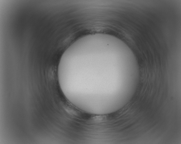 X0000067530126200604211853