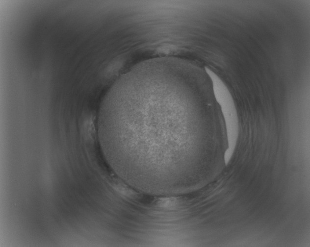 X0000067530127200604211853