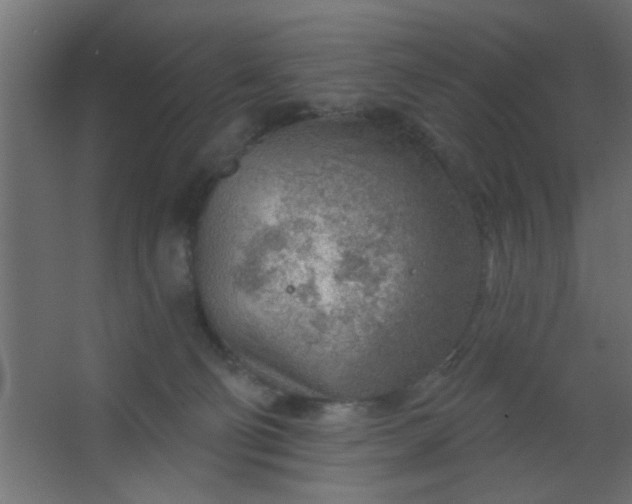 X0000067530130200604211853