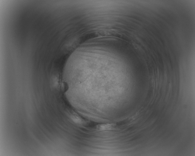 X0000067530134200604211853