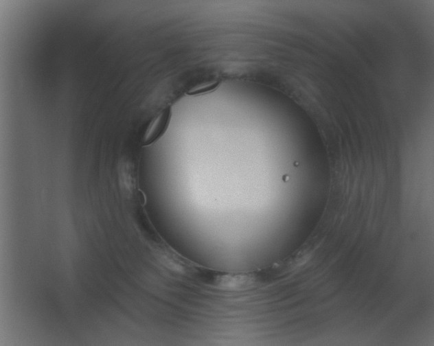 X0000067530135200604211853