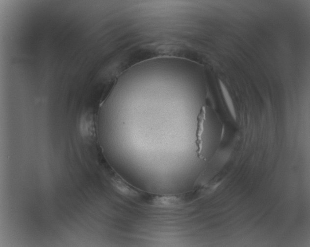 X0000067530137200604211853