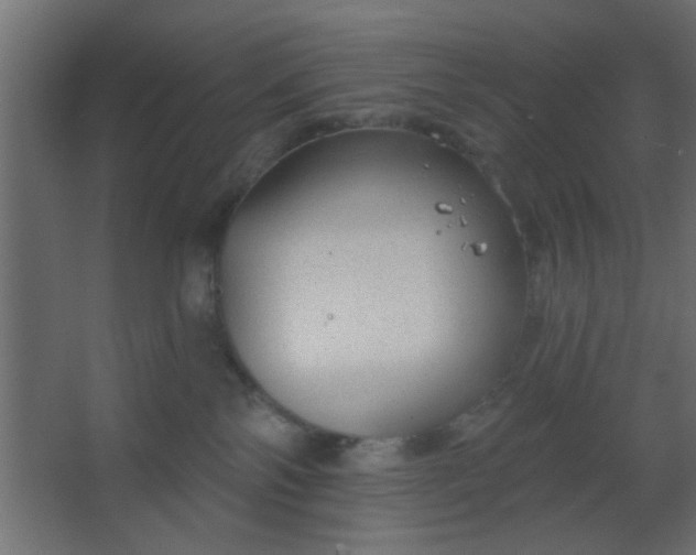 X0000067530138200604211853