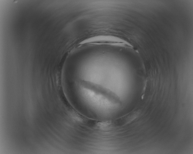 X0000067530139200604211853