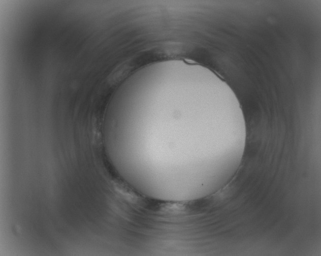 X0000067530140200604211853