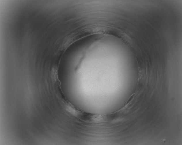 X0000067530142200604211853