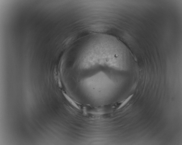 X0000067530143200604211853