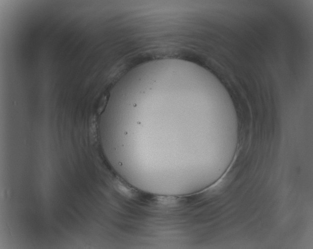 X0000067530144200604211853