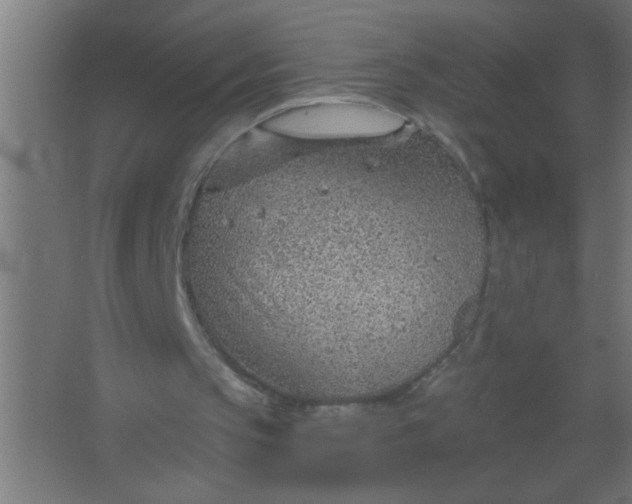 X0000067530145200604211852