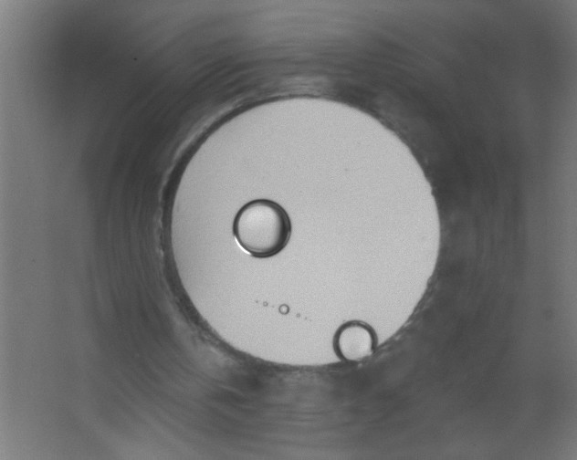 X0000067530146200604211852