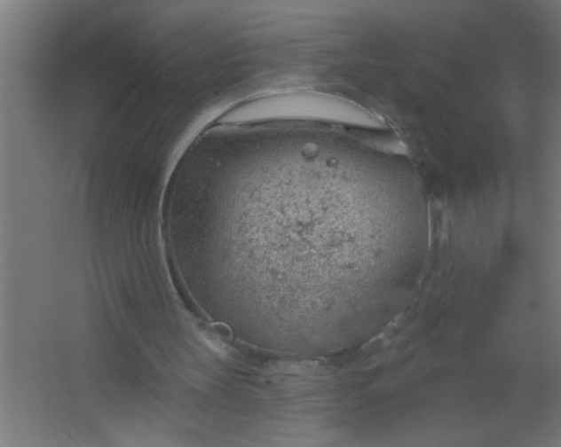 X0000067530147200604211852