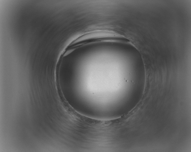 X0000067530148200604211852