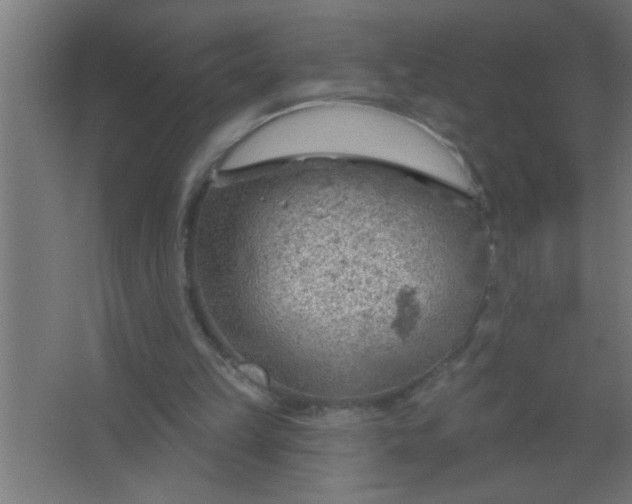 X0000067530149200604211852