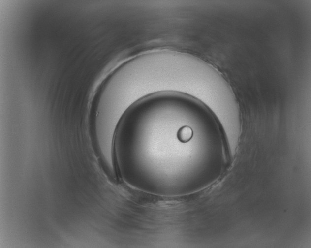 X0000067530150200604211852