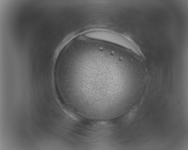 X0000067530151200604211852