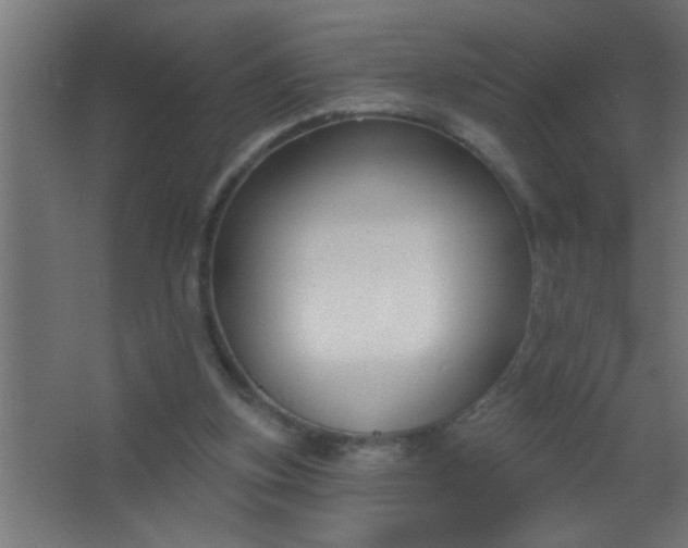 X0000067530155200604211852