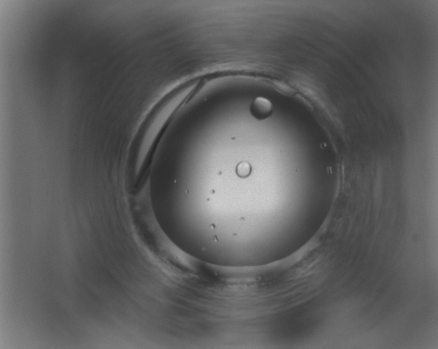 X0000067530156200604211852