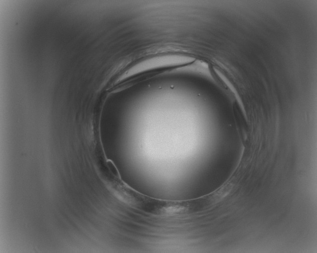 X0000067530158200604211853