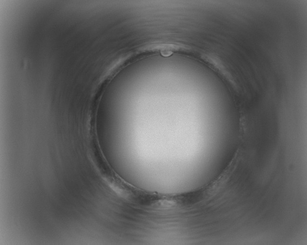 X0000067530159200604211853