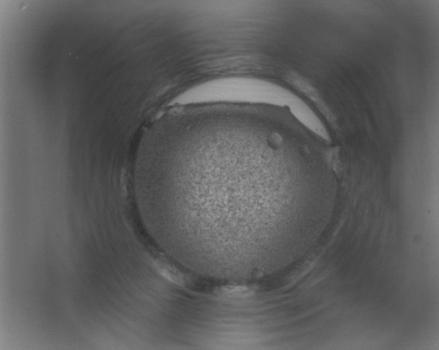 X0000067530161200604211853