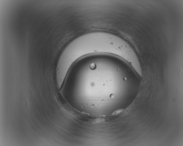 X0000067530162200604211853