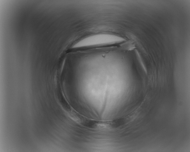 X0000067530167200604211853